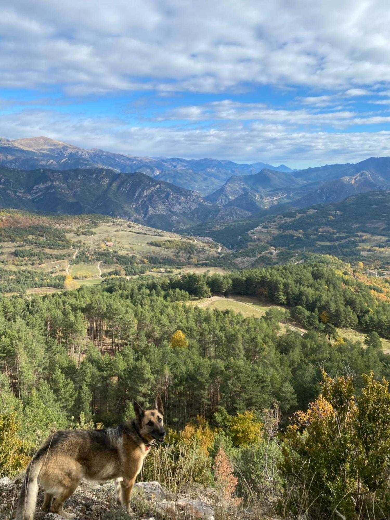Cal Carol Apartment Vallcebre Luaran gambar